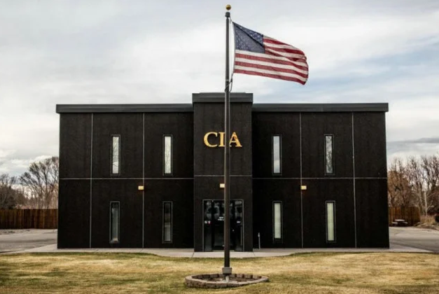 國安部再挫CIA，抓獲一條“大魚”，被美國策反后在核心部門工作(3) 