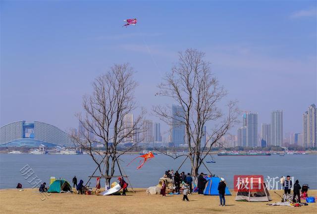 忙趁东风放纸鸢，武汉洪山江滩周末成风筝海洋